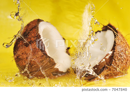 Coconut with water splash Coconut with water splash 7047840