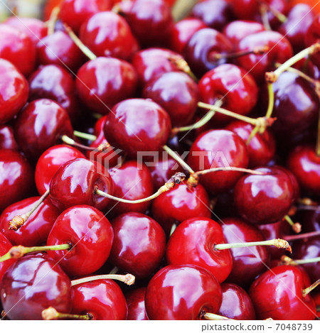 Freshly cherries Freshly cherries 7048739