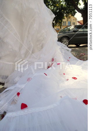 rose petals on wedding dress rose petals on wedding dress 7051113
