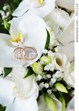 orchids and wedding rings 7051119