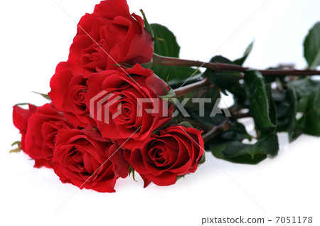 beautiful red roses 7051178