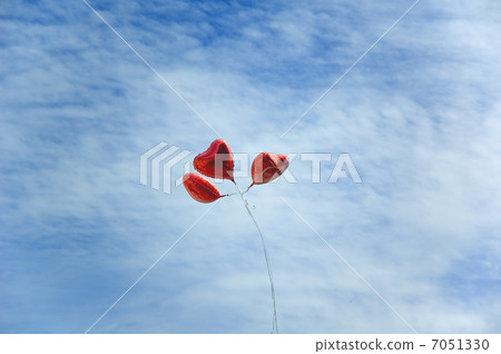 balloons in sky balloons in sky 7051330