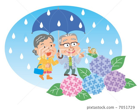 資深夫婦八仙花屬多雨例證 資深夫婦八仙花屬多雨例證 7051729