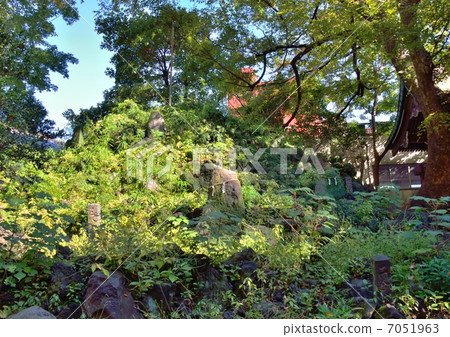 Ono Terrasaki Shrine(東京都台東區)的Fujimuka Ono Terrasaki Shrine(東京都台東區)的Fujimuka 7051963