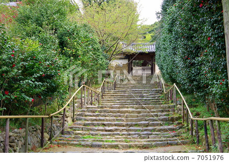 Shirakuji的方法 7051976