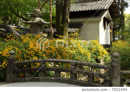 松尾泰莎的山武 7052494