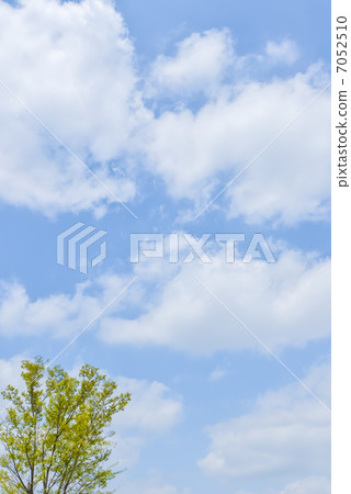 新鮮的綠色和雲彩 新鮮的綠色和雲彩 7052510