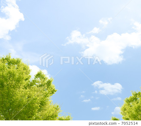 新鮮的綠色景觀 7052514