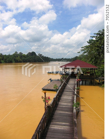 Scenery of the Kinabatangan River 7052532