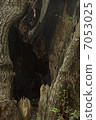 Otoko no dong 7053025