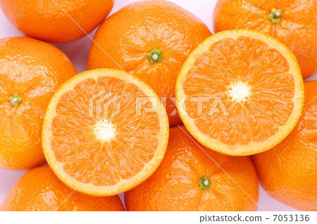 MARCOT橙色 MARCOT橙色 7053136