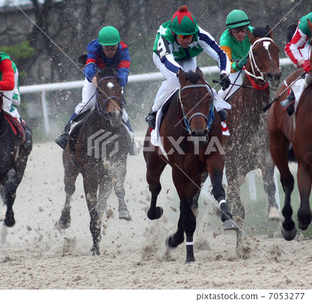 Horse racing. Horse racing. 7053277