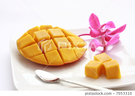 mango mango 7053310
