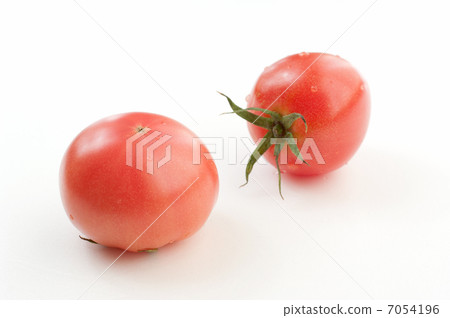 蕃茄 蕃茄 7054196