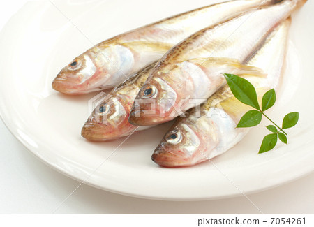Hathahata Hathahata 7054261