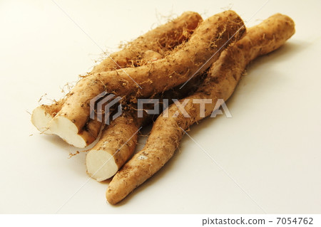 野生山藥 7054762