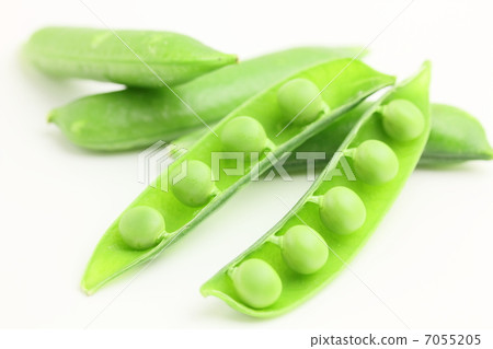 綠豆菜豆 7055205