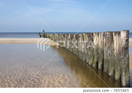 Dutch coastline near Schoorl Dutch coastline near Schoorl 7055865