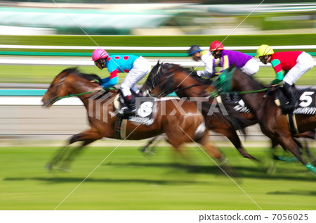 Horse race 7056025