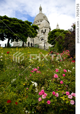 Basilica of the Sacré Coeur and a rose at the foot 7056758