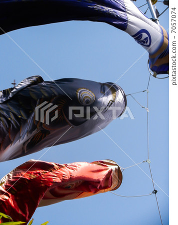 兒童節圖片~Koinobori~ 兒童節圖片~Koinobori~ 7057074