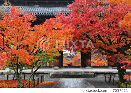 Kyoto Autumn leaves Kyoto Autumn leaves 7057421