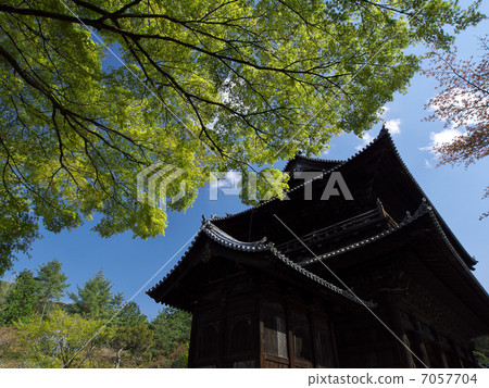 鮮綠色 鮮綠色 7057704