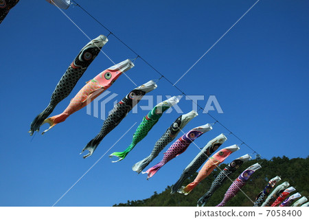 鯉魚stream在藍藍的天空中游泳 7058400
