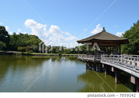 Sagichi 7059142