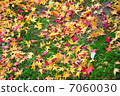 Momige's monogram 7060030