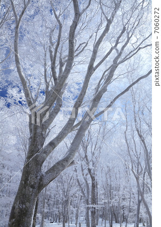 Silver world 7060272