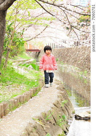 Sakura and daughter Sakura and daughter 7060781