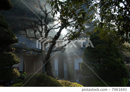 清晨的陽光 7061691