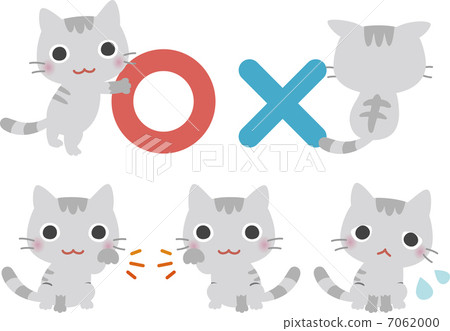 通知○或×的貓 7062000