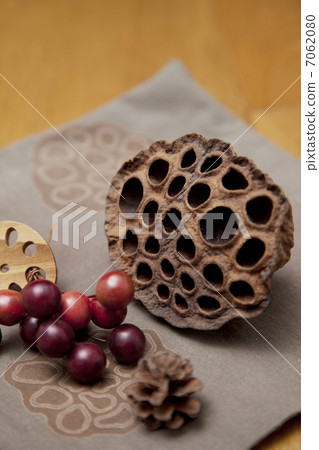 Lotus object 7062080