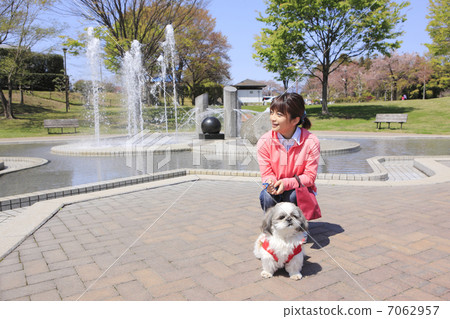 西施犬和一位年輕女士 7062957