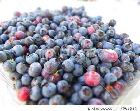 blueberry 7063584