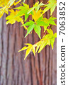 Yellow autumn leaves 7063852