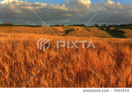 Italian rural areas 7063859