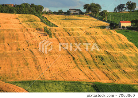Italian rural areas Italian rural areas 7063860