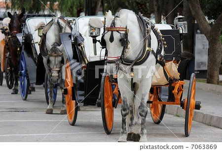 Mijas' donkey taxi 7063869