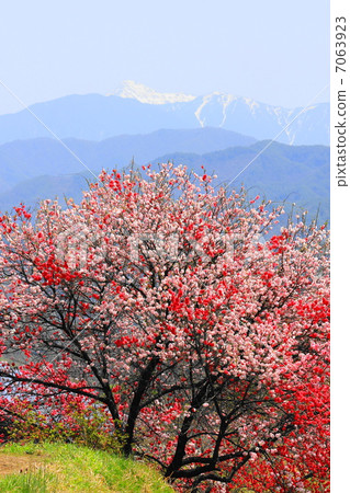 Hua Mang and Southern Alps 7063923