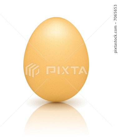 Brown Egg with Reflection 7065653