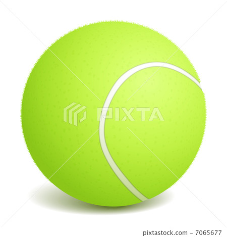 Tennis Ball Tennis Ball 7065677