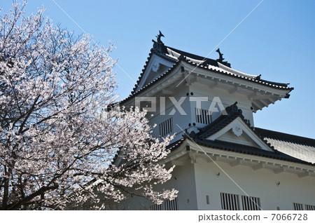 仙台城，山野和櫻花 7066728