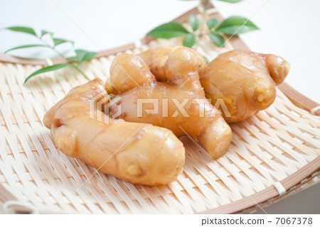 國內生薑 7067378
