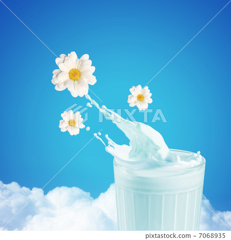 Fresh milk in the glass Fresh milk in the glass 7068935