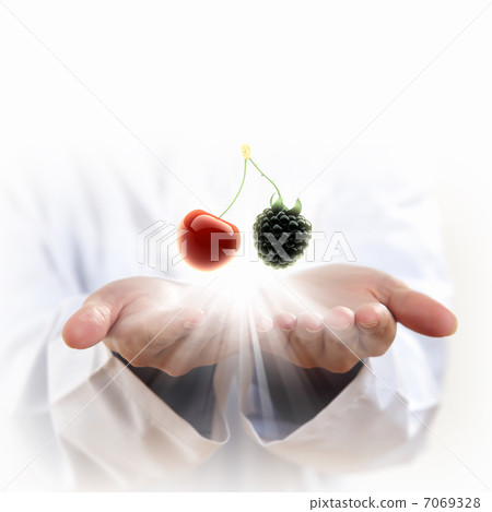 ripe red and black cherry berries ripe red and black cherry berries 7069328
