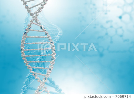 DNA Strand 7069714