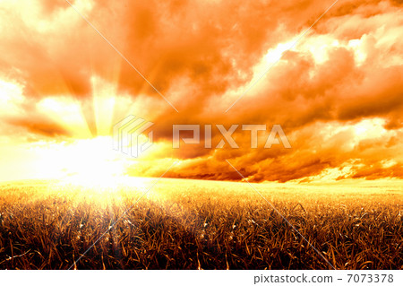 Rural landscape and shining sun 7073378